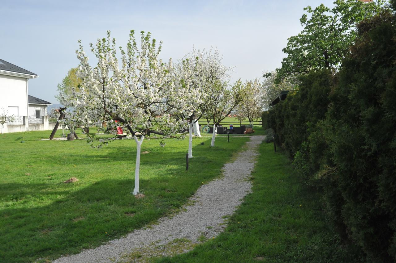 Bed and Breakfast Klet Cinkus Hrvatski Leskovac Zewnętrze zdjęcie